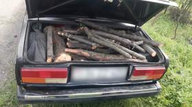 Լոռու մարզի պարեկները ապօրինի ծառահատման դեպք են բացահայտել Լոռու մարզի պարեկները ապօրինի ծառահատման դեպք են բացահայտել