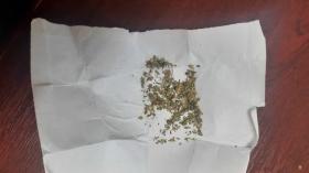 Պարեկները մարիխուանա են հայտնաբերել Պարեկները մարիխուանա են հայտնաբերել