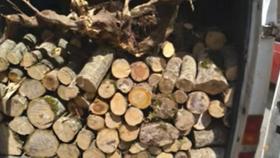 Գորիսի ոստիկանները ապօրինի փայտանյութ են հայտնաբերել Գորիսի ոստիկանները ապօրինի փայտանյութ են հայտնաբերել