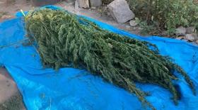 Թմրամիջոցների անօրինական շրջանառության դեմ պայքարն օրակարգում է Թմրամիջոցների անօրինական շրջանառության դեմ պայքարն օրակարգում է