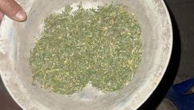 Նոր Նորքի քրեական հետախույզներն ապօրինի թմրաշրջանառության դեպք են բացահայտել Նոր Նորքի քրեական հետախույզներն ապօրինի թմրաշրջանառության դեպք են բացահայտել