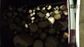 Գիշերային շրջայցի ընթացքում Գորիսի ոստիկաններն ապօրինի ծառահատման դեպք են բացահայտել Գիշերային շրջայցի ընթացքում Գորիսի ոստիկաններն ապօրինի ծառահատման դեպք են բացահայտել