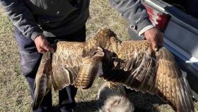 Արագածի բաժնի ոստիկանները գիշերային ծառայության ժամանակ որսագողության դեպք են բացահայտել Արագածի բաժնի ոստիկանները գիշերային ծառայության ժամանակ որսագողության դեպք են բացահայտել