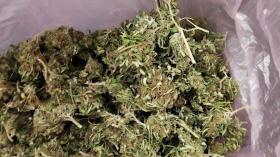 Մեկուկես կիլոգրամից ավելի մարիխուանա և կանեփի թփեր. Չարբախի ոստիկանների բացահայտումը Մեկուկես կիլոգրամից ավելի մարիխուանա և կանեփի թփեր. Չարբախի ոստիկանների բացահայտումը