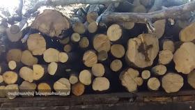 Գուգարքի ոստիկանների պայքարը ապօրինի ծառահատումների դեմ շարունակվում է Գուգարքի ոստիկանների պայքարը ապօրինի ծառահատումների դեմ շարունակվում է