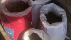 Վաղարշապատի ոստիկանները  հայտնաբերել են ավելի քան 18 կիլոգրամ մարիխուանա, կանեփի սերմ ու թփեր Վաղարշապատի ոստիկանները  հայտնաբերել են ավելի քան 18 կիլոգրամ մարիխուանա, կանեփի սերմ ու թփեր