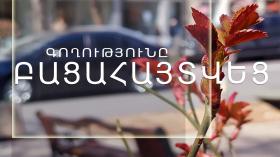 Գողությունն արել էր ՍՊ ընկերության պահակը Գողությունն արել էր ՍՊ ընկերության պահակը