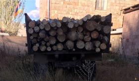 ԱԱԾ-ից ստացված տեղեկությունն իրացրին Հրազդանի ոստիկանները. բացահայտվեց ապօրինի ծառահատում ԱԱԾ-ից ստացված տեղեկությունն իրացրին Հրազդանի ոստիկանները. բացահայտվեց ապօրինի ծառահատում