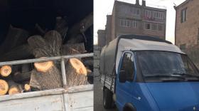 Աշտարակի ոստիկանները ապօրինի ծառահատման դեպք են բացահայտել Աշտարակի ոստիկանները ապօրինի ծառահատման դեպք են բացահայտել