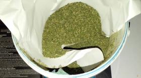 Սիսիան համայնքի Գետաթաղ բնակավայրի տներից մեկում տարաներով մարիխուանա է հայտնաբերվել Սիսիան համայնքի Գետաթաղ բնակավայրի տներից մեկում տարաներով մարիխուանա է հայտնաբերվել