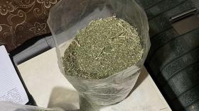 Աշտարակի ոստիկանները հայտնաբերել են մեծ քանակությամբ թմրանյութ Աշտարակի ոստիկանները հայտնաբերել են մեծ քանակությամբ թմրանյութ