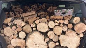 Ճամբարակի ոստիկանները ապօրինի ծառահատման դեպքեր են բացահայտել Ճամբարակի ոստիկանները ապօրինի ծառահատման դեպքեր են բացահայտել