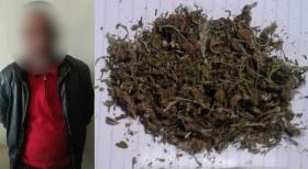 Վաղարշապատի քրեական հետախույզները մարիխուանայի նմանվող զանգվածներ են հայտնաբերել Վաղարշապատի քրեական հետախույզները մարիխուանայի նմանվող զանգվածներ են հայտնաբերել