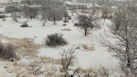 Ապօրինի հատել էին 50 կաղնի. Աշտարակի համայնքային ոստիկանների բացահայտումը Ապօրինի հատել էին 50 կաղնի. Աշտարակի համայնքային ոստիկանների բացահայտումը