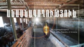 Չստացված անասնագողություն, մարմնական վնասվածքներ և՝ ոչ միայն…  Չստացված անասնագողություն, մարմնական վնասվածքներ և՝ ոչ միայն…