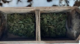 Թալինի ոստիկանները թմրանյութ են հայտնաբերել Թալինի ոստիկանները թմրանյութ են հայտնաբերել