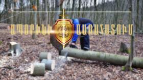 Թումանյանի ոստիկանները բացահայտել են ապօրինի ծառահատման հերթական դեպքը Թումանյանի ոստիկանները բացահայտել են ապօրինի ծառահատման հերթական դեպքը