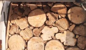 Ճամբարակի ոստիկանները հայտնաբերել են ապօրինի փայտանյութով ու փայտածուխով բեռնված 5 մեքենա Ճամբարակի ոստիկանները հայտնաբերել են ապօրինի փայտանյութով ու փայտածուխով բեռնված 5 մեքենա