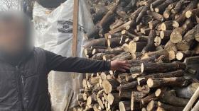 Աշտարակի ոստիկանները ապօրինի ծառահատման դեպք են բացահայտել Աշտարակի ոստիկանները ապօրինի ծառահատման դեպք են բացահայտել