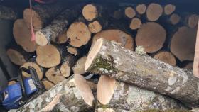 Ապօրինի ծառահատումներ Սյունիքում. համայնքային ոստիկանների բացահայտումը Ապօրինի ծառահատումներ Սյունիքում. համայնքային ոստիկանների բացահայտումը