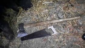 Գավառի ոստիկանները ապօրինի ծառահատման դեպք են բացահայտել Գավառի ոստիկանները ապօրինի ծառահատման դեպք են բացահայտել