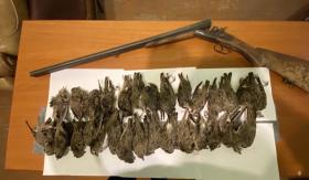 Բաղրամյանի ոստիկանները որսագողության դեպք են բացահայտել Բաղրամյանի ոստիկանները որսագողության դեպք են բացահայտել