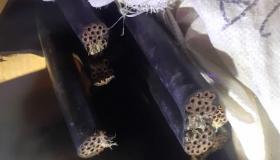 Գողություն «Նաիրիտ» գործարանից. պարեկների գիշերային բացահայտումը Գողություն «Նաիրիտ» գործարանից. պարեկների գիշերային բացահայտումը