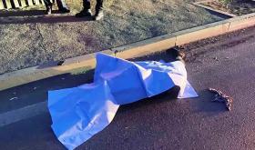 Մահվան ելքով վրաերթ Երևան-Արմավիր ճանապարհին. փախուստի դիմած վարորդը հայտնաբերվել է Մահվան ելքով վրաերթ Երևան-Արմավիր ճանապարհին. փախուստի դիմած վարորդը հայտնաբերվել է