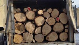 Փայտանյութով բարձված «ԳԱԶելը» տեղափոխվել է պահպանվող հատուկ տարածք Փայտանյութով բարձված «ԳԱԶելը» տեղափոխվել է պահպանվող հատուկ տարածք