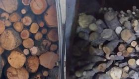 Գորիսի ոստիկանները փայտանյութով բեռնված մեքենաներ են հայտնաբերել Գորիսի ոստիկանները փայտանյութով բեռնված մեքենաներ են հայտնաբերել