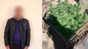 Արտաշատի ոստիկանները հայտնաբերել են թմրանյութ Արտաշատի ոստիկանները հայտնաբերել են թմրանյութ