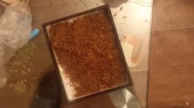 Արաբկիրի ոստիկանները վերահաստատեցին գիշերային անդորրն ու հայտնաբերեցին թմրանյութ Արաբկիրի ոստիկանները վերահաստատեցին գիշերային անդորրն ու հայտնաբերեցին թմրանյութ