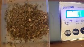 Աշտարակի ոստիկանների պայքարը թմրամոլության դեմ շարունակական է Աշտարակի ոստիկանների պայքարը թմրամոլության դեմ շարունակական է