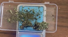 Շոկոն ձեռք էր բերել Տելեգրամի միջոցով, իսկ մարիխուանայի հումքն անձամբ էր աճեցրել  Շոկոն ձեռք էր բերել Տելեգրամի միջոցով, իսկ մարիխուանայի հումքն անձամբ էր աճեցրել