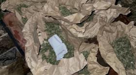 Համայնքային ոստիկանները 400 գրամից ավելի մարիխուանա են հայտնաբերել Համայնքային ոստիկանները 400 գրամից ավելի մարիխուանա են հայտնաբերել