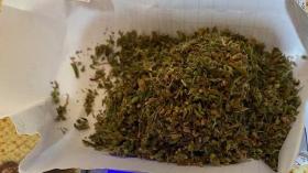 Բաղրամյանի ոստիկաններն անասնաֆերմայի պահակի մոտ և պահակատանը հայտնաբերել են կանեփանման զանգվածներ Բաղրամյանի ոստիկաններն անասնաֆերմայի պահակի մոտ և պահակատանը հայտնաբերել են կանեփանման զանգվածներ