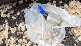 Ապօրինի թմրաշրջանառության դեմ պայքարը հետևողականորեն շարունակվում է Ապօրինի թմրաշրջանառության դեմ պայքարը հետևողականորեն շարունակվում է