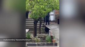Գյումրեցի տղամարդը սպառնում էր պայթեցնել նռնակը. Կումայրիի ոստիկանները զինաթափել են նրան Գյումրեցի տղամարդը սպառնում էր պայթեցնել նռնակը. Կումայրիի ոստիկանները զինաթափել են նրան