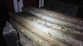 Կոտայքի մարզի պարեկները ապօրինի փայտանյութ տեղափոխող մեքենա են հայտնաբերել Կոտայքի մարզի պարեկները ապօրինի փայտանյութ տեղափոխող մեքենա են հայտնաբերել