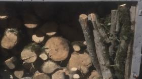 18 խմ բոխին տեղափոխվեց Գորիսի բաժնի պահպանվող հատուկ տարածք 18 խմ բոխին տեղափոխվեց Գորիսի բաժնի պահպանվող հատուկ տարածք