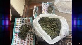 Տան խուզարկությամբ մարիխուանա է հայտնաբերվել Տան խուզարկությամբ մարիխուանա է հայտնաբերվել