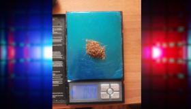 Մուշի ոստիկանները ապօրինի թմրաշրջանառության դեպքեր են բացահայտել Մուշի ոստիկանները ապօրինի թմրաշրջանառության դեպքեր են բացահայտել