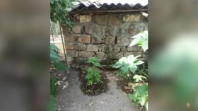 Վաղարշապատի համայնքային ոստիկաններն ապօրինի թմրաշրջանառության դեպք են բացահայտել Վաղարշապատի համայնքային ոստիկաններն ապօրինի թմրաշրջանառության դեպք են բացահայտել