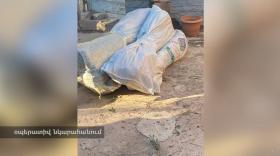 Բաղրամյանի ոստիկանները կանեփի մշակման հերթական դեպքն են բացահայտել Բաղրամյանի ոստիկանները կանեփի մշակման հերթական դեպքն են բացահայտել