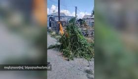 «Կանեփ-կակաչ-2023» համալիր օպերատիվ-կանխարգելիչ միջոցառման արդյունքները օգոստոսի 14-ի դրությամբ «Կանեփ-կակաչ-2023» համալիր օպերատիվ-կանխարգելիչ միջոցառման արդյունքները օգոստոսի 14-ի դրությամբ