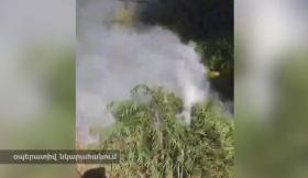 «Կանեփ-կակաչ-2023» համալիր օպերատիվ-կանխարգելիչ միջոցառման արդյունքները օգոստոսի 21-ի դրությամբ «Կանեփ-կակաչ-2023» համալիր օպերատիվ-կանխարգելիչ միջոցառման արդյունքները օգոստոսի 21-ի դրությամբ