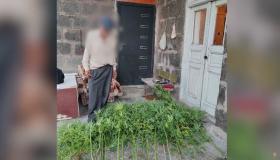 «Կանեփ-կակաչ-2023» համալիր օպերատիվ-կանխարգելիչ միջոցառման արդյունքները՝ օգոստոսի 28-ի դրությամբ «Կանեփ-կակաչ-2023» համալիր օպերատիվ-կանխարգելիչ միջոցառման արդյունքները՝ օգոստոսի 28-ի դրությամբ