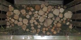 Տավուշի ոստիկանները հայտնաբերել են 3-խմ փայտանյութ Տավուշի ոստիկանները հայտնաբերել են 3-խմ փայտանյութ