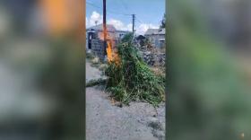 «Կանեփ-կակաչ-2023» համալիր օպերատիվ-կանխարգելիչ միջոցառման արդյունքները` սեպտեմբերի 4-ի դրությամբ «Կանեփ-կակաչ-2023» համալիր օպերատիվ-կանխարգելիչ միջոցառման արդյունքները` սեպտեմբերի 4-ի դրությամբ