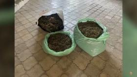 Արմավիրի ոստիկանները ապօրինի թմրանյութ պահելու դեպք են բացահայտել Արմավիրի ոստիկանները ապօրինի թմրանյութ պահելու դեպք են բացահայտել